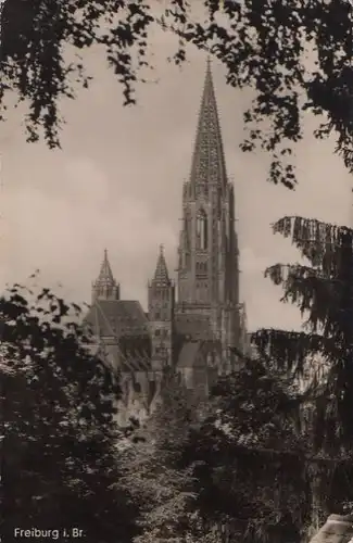 Freiburg - 1956