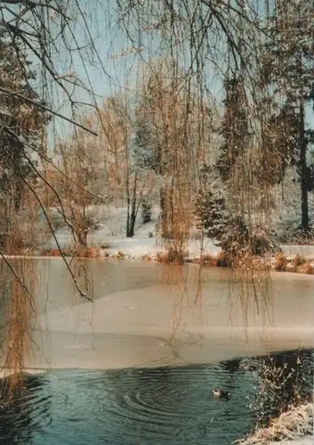 Bad Homburg - Schlossteich im Winter - ca. 1995