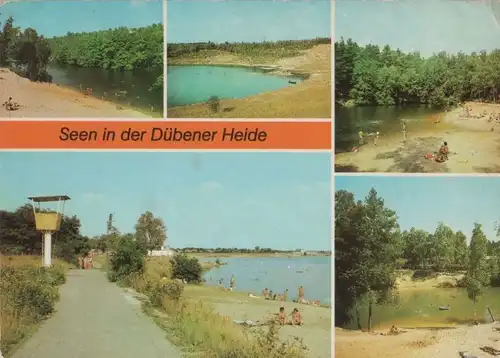 Dübener Heide - u.a. Bergwitzsee - 1986