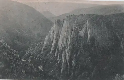 Blick v. Hexentanzplatz b. Thale - 1922