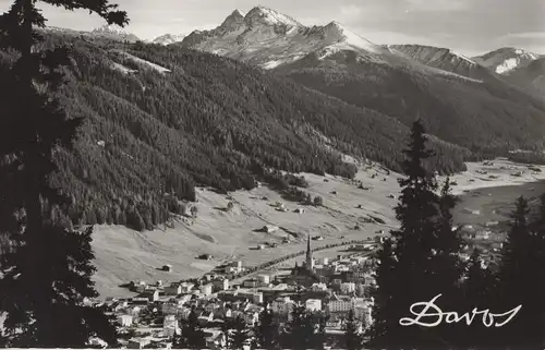 Schweiz - Davos - Schweiz - Blick aus dem Schatzalpwald