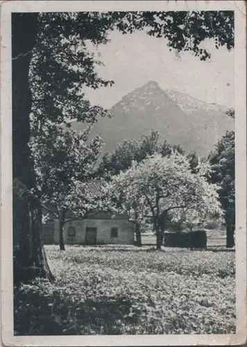 Bergfrühling - 1945