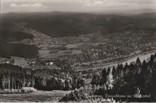Neckar - Blick vom Fernsehturm ins Neckartal - ca. 1960