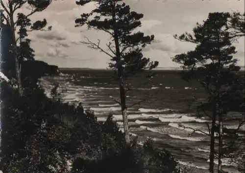 Steilufer am Meer mit Bäumen - ca. 1955