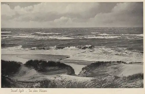 Sylt - In den Dünen