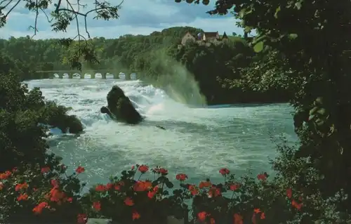 Schweiz - Rheinfall - Schweiz - Wasserfall