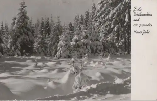 Frohe Weihnachte - Schnee auf Wald - 1966