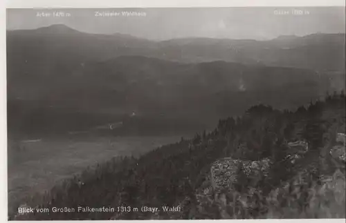 Bayerischer Wald - Blick vom Großen Falkenstein