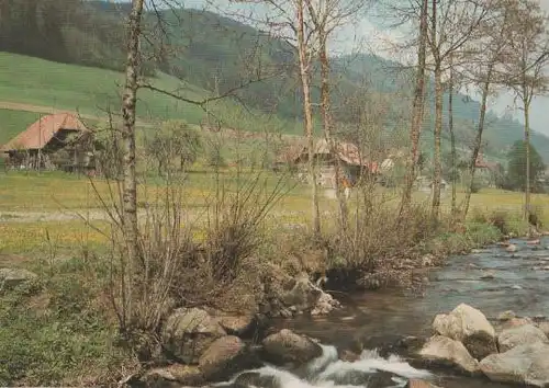Gutach - Frühling an der Elz im Schwarzwald - ca. 1975