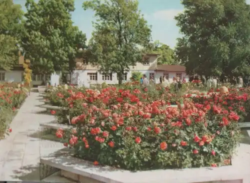 Erfurt - Internationale Gartenbauausstellung - 1975