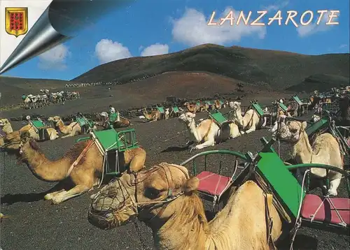 Spanien - Lanzarote - Spanien - Parque de Nacional de Timanfaya