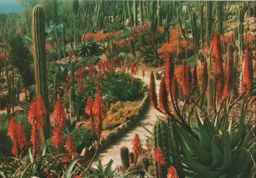 Spanien - Spanien - Blanes - Jardin Botanico Tropical - ca. 1980