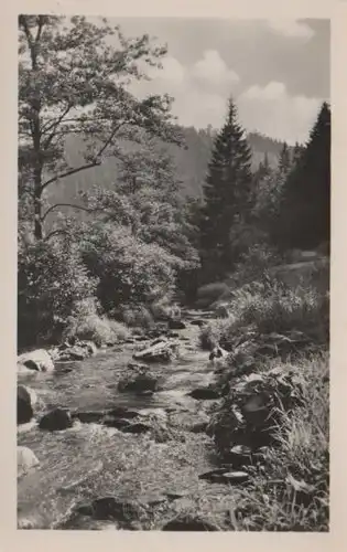 Waldgebirgsbach - ca. 1955