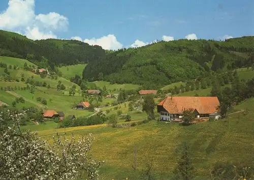 Zell - Oberentsersbach