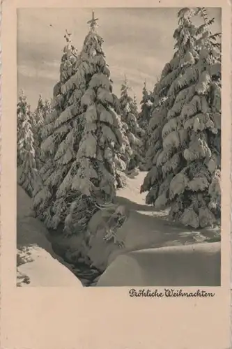 Fröhliche Weihnachten Bäume unter Schnee