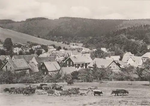 Fischbach - Thür. Wald - ca. 1965