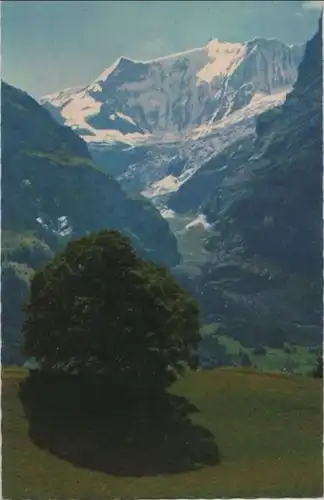 Schweiz - Grindelwald - Schweiz - First, Fiescherhörner