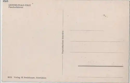 Schweiz - Grindelwald - Schweiz - First, Fiescherhörner