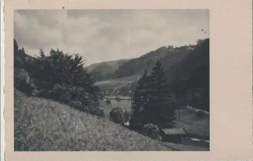 Blick ins Tal - ca. 1955