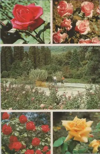 unbekannter Ort - mit 5 Bildern - ca. 1970