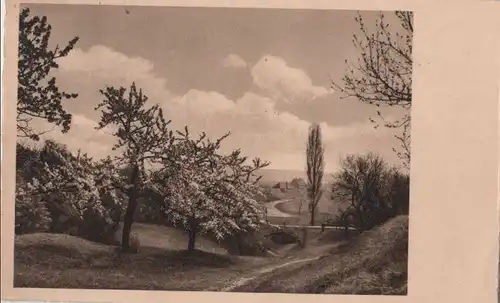 Landschaft mit blühenden Bäumen - 1939