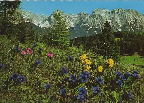 Alpen - Flora, u.a. Stengelloser Enzian - 1980