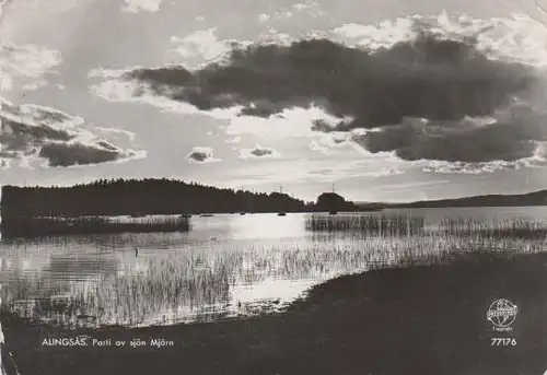 Schweden - Schweden - Alingsas - Parti av sjön Mjörn - ca. 1965