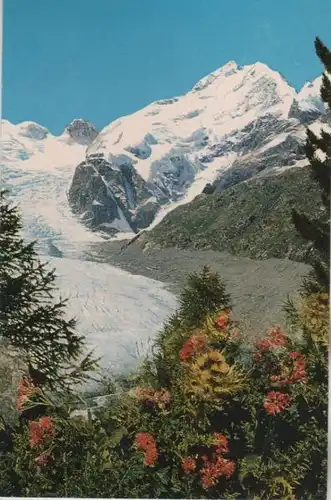 Schweiz - Morteratschgletscher - Schweiz - mit Piz Bernina