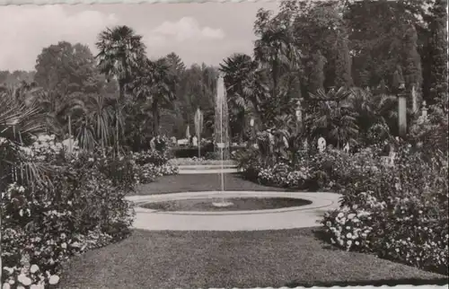 Bad Pyrmont - Partie am Palmengarten - 1955