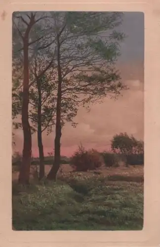 Wiesenlandschaft, Bäume, Sträucher - 1920
