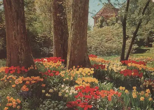 Mainau (Insel) - Wehrturm im Frühling - ca. 1975