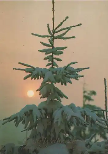Frohe Weihnachten Winterbaum