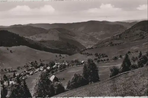 Todtnau-Todtnauberg - Blick auf Kurort - ca. 1955