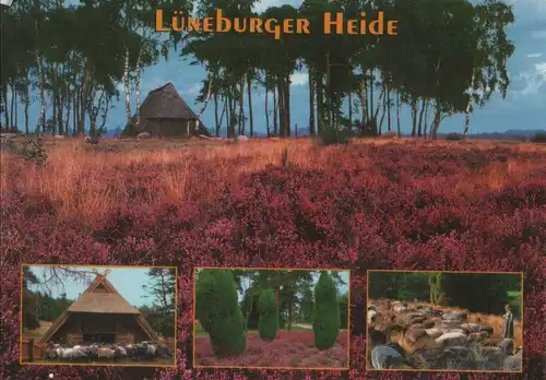 Lüneburger Heide - 4 Bilder