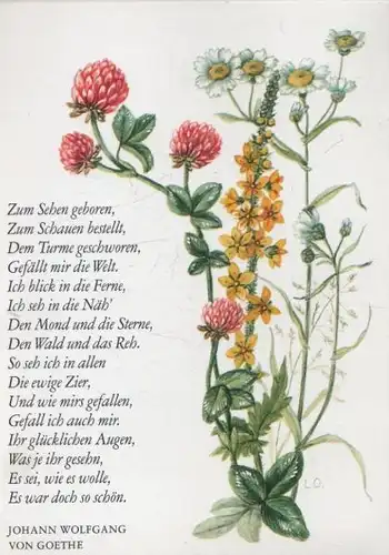 Sinnspruch Goethe Sonderstempel