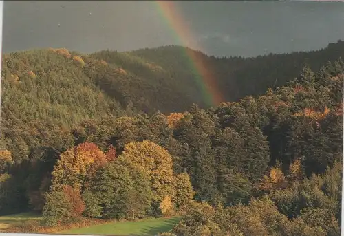 Wald mit Regenbogen