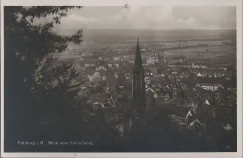 Freiburg - Blick vom Schloßberg - ca. 1950