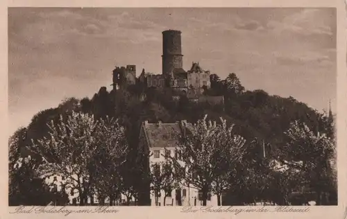 Bonn-Bad Godesberg - Godesburg in Blütezeit - 1928