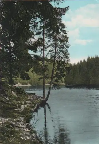 Clausthal-Zellerfeld - Harz - Waldsee im Oberharz - 1968