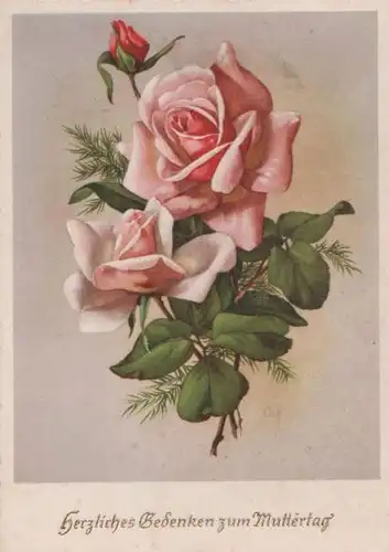 Zum Muttertag Rosen