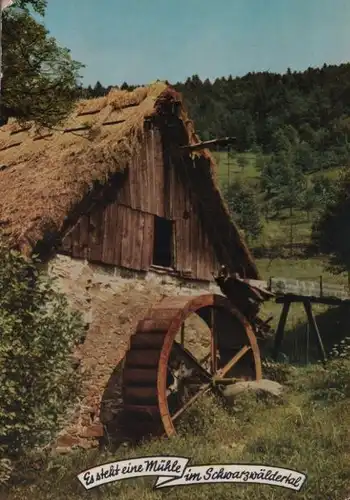 Schwarzwald - Mühle im Tal - 1979
