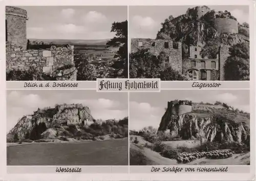 Hohentwiel - Festung, u.a. Der Schäfer - ca. 1960