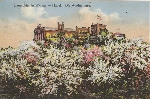 Werder - Wachtelburg - Baumblüte