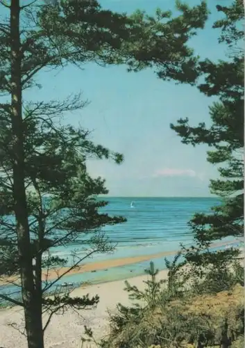 Küste am Meer - 1973