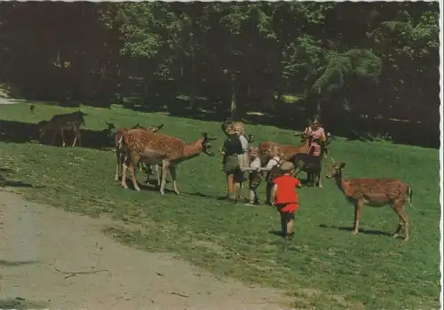 Düsseldorf - Im Wildpark - ca. 1975