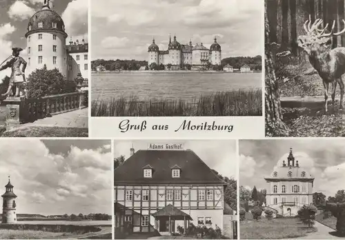 Moritzburg - 6 Bilder