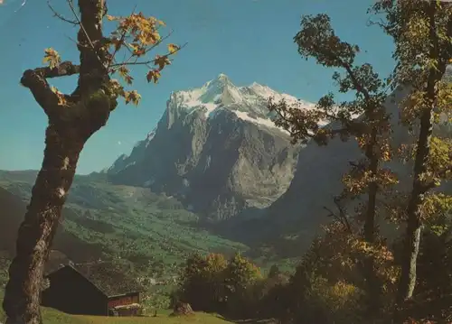 Schweiz - Schweiz - Grindelwald - Wetterhorn - ca. 1975
