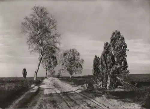 Einsamer Heideweg - ca. 1965