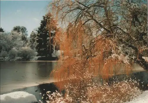Bad Homburg - Schlosspark im Winter - ca. 1995