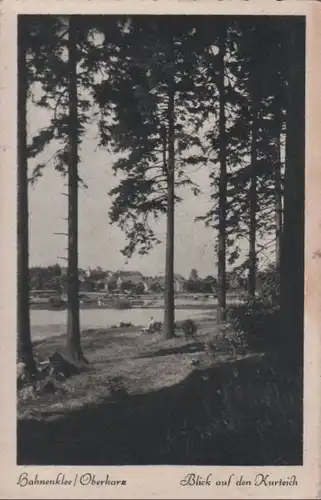 Goslar Hahnenklee - Blick auf den Kurteich - ca. 1955